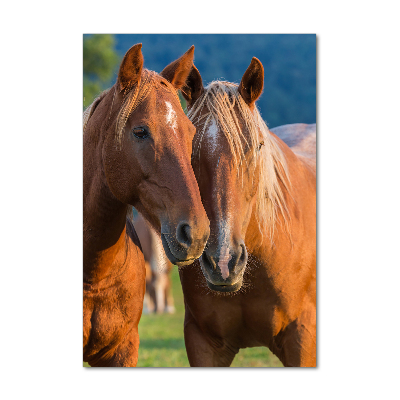 Wall art on glass Two horses