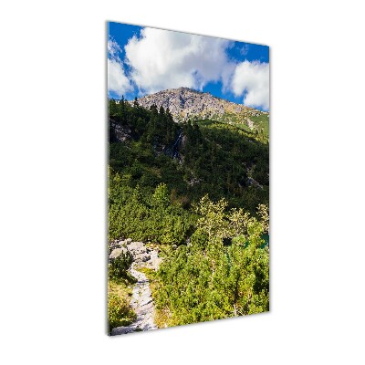 Wall art on glass Morskie Oko Tatry