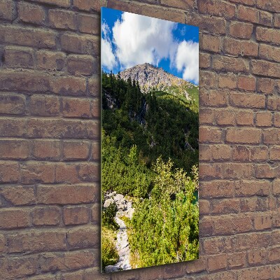 Wall art on glass Morskie Oko Tatry