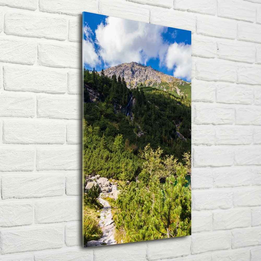 Wall art on glass Morskie Oko Tatry