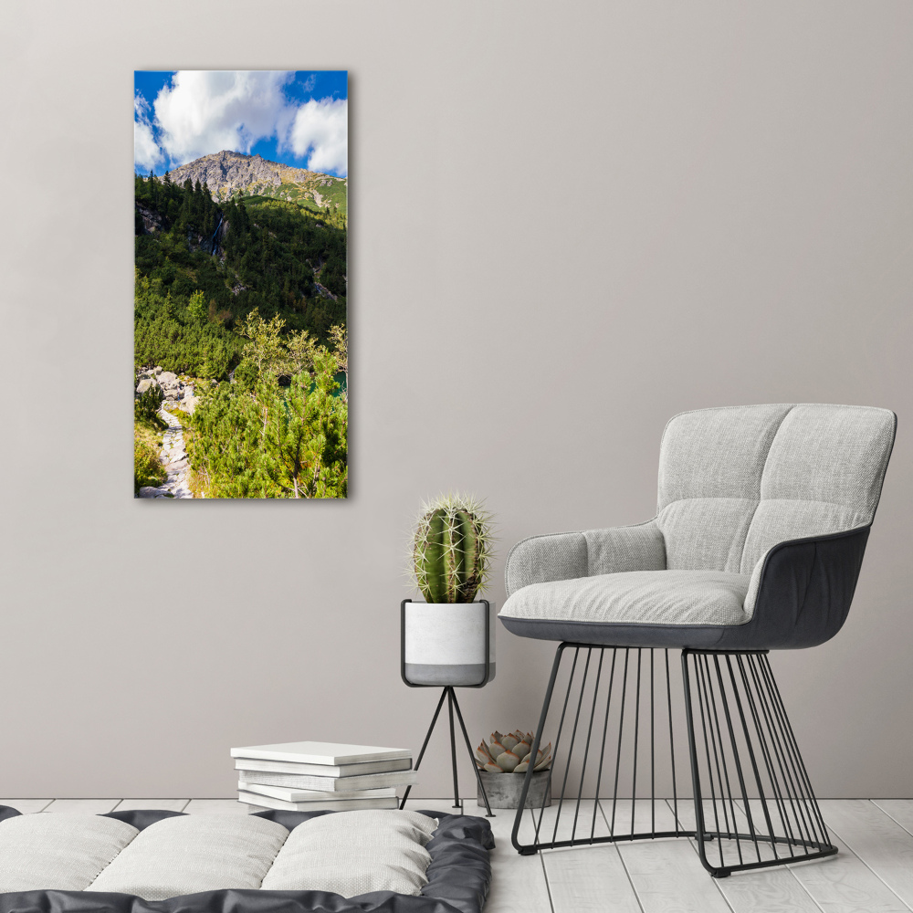 Wall art on glass Morskie Oko Tatry