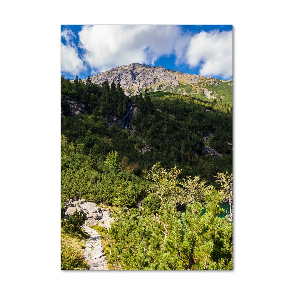 Wall art on glass Morskie Oko Tatry