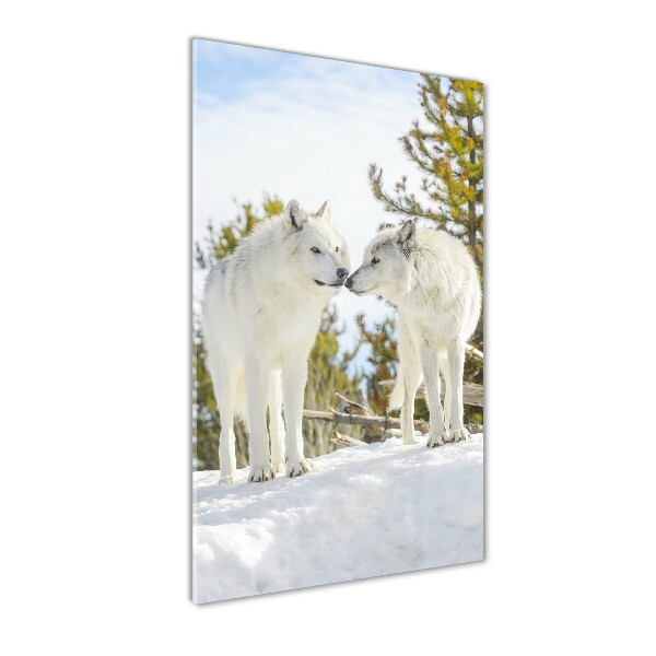 Glass wall art Two white wolves