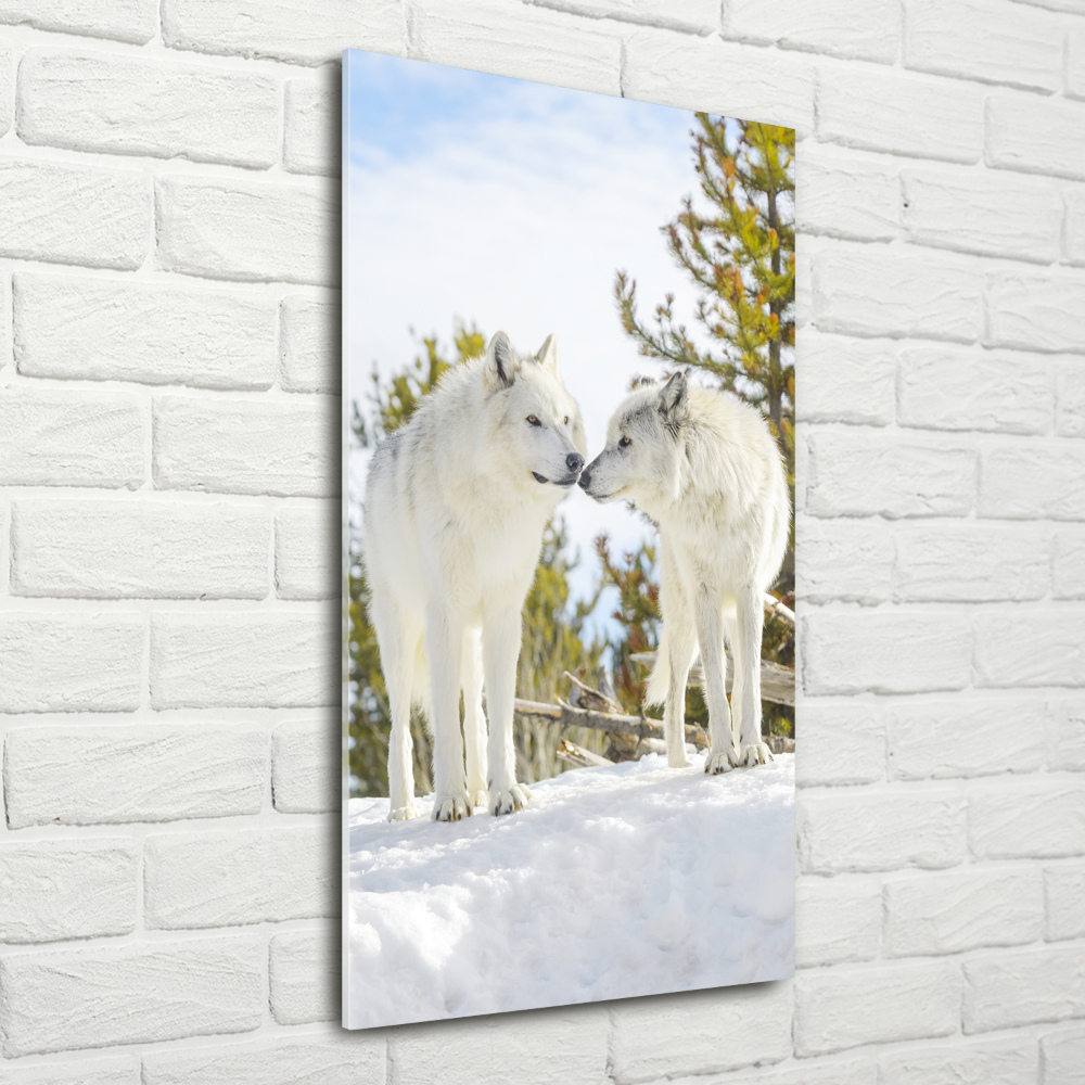 Glass wall art Two white wolves