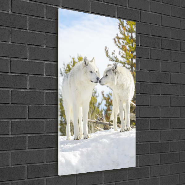 Glass wall art Two white wolves