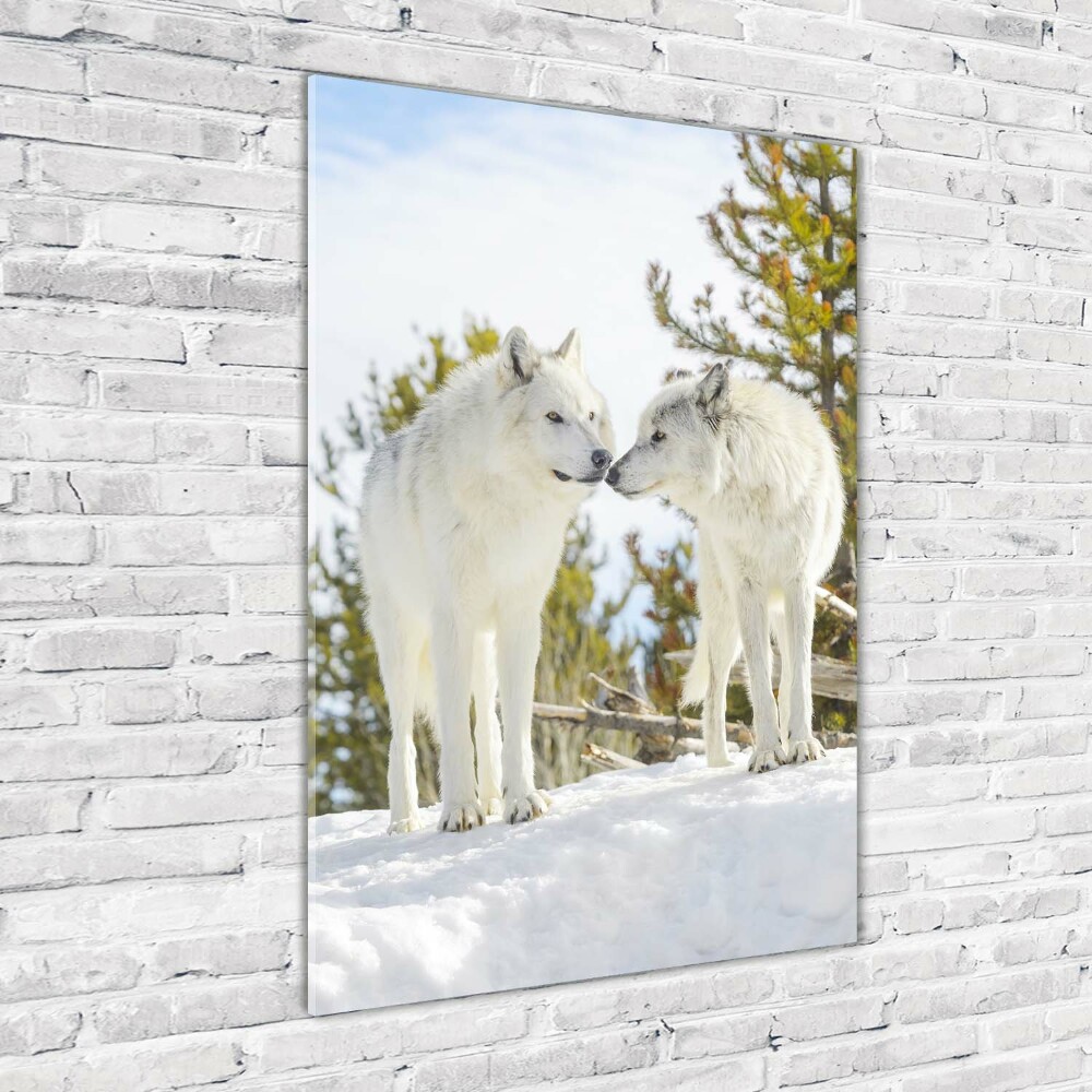 Glass wall art Two white wolves