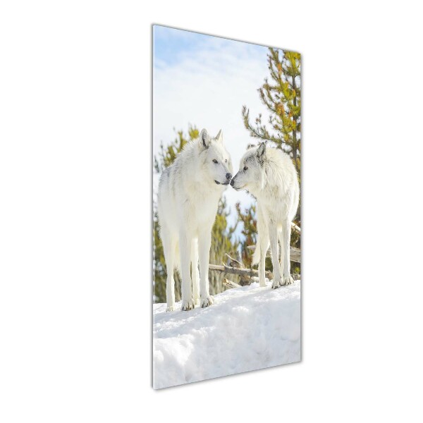 Glass wall art Two white wolves