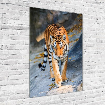 Print on a a glass Tiger