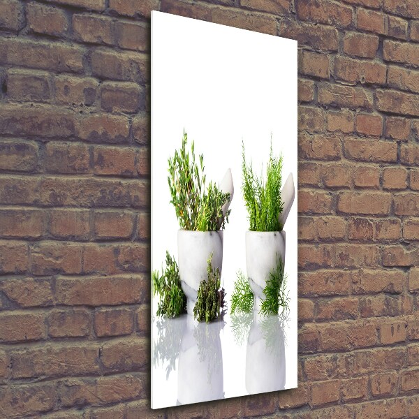 Glass wall art Mortars and herbs