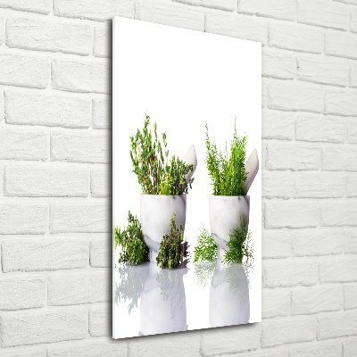 Glass wall art Mortars and herbs