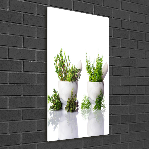 Glass wall art Mortars and herbs