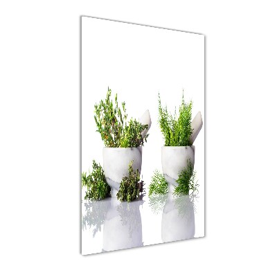 Glass wall art Mortars and herbs