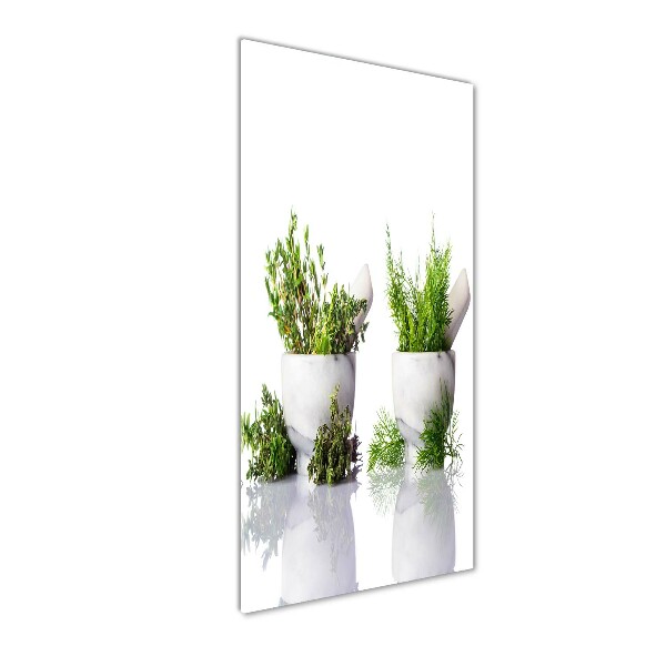 Glass wall art Mortars and herbs