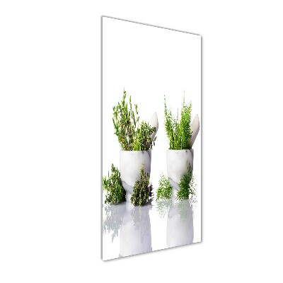 Glass wall art Mortars and herbs