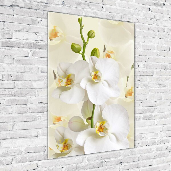 Wall art on glass White orchid