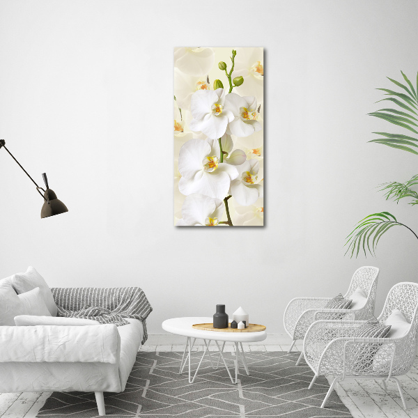 Wall art on glass White orchid