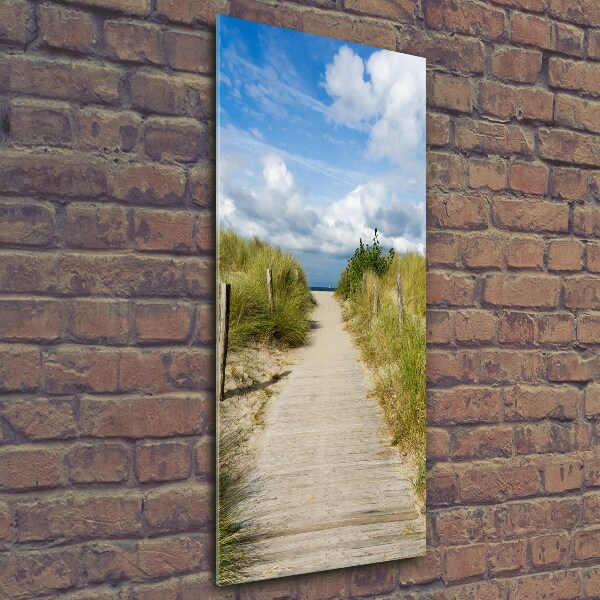 Wall art on glass Path to the beach