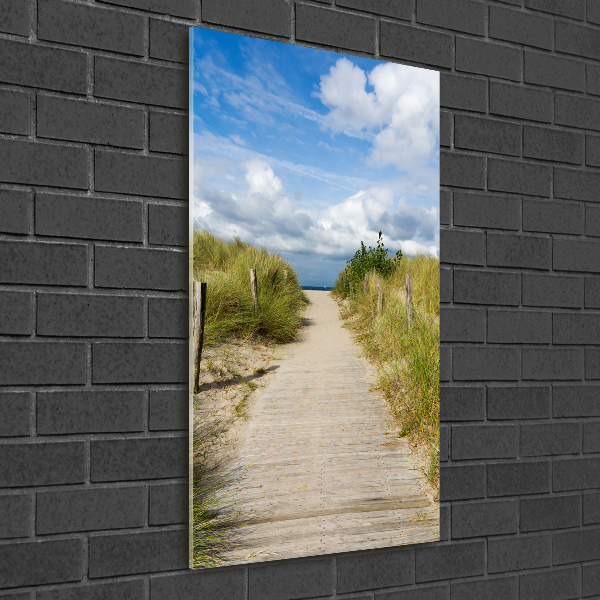 Wall art on glass Path to the beach