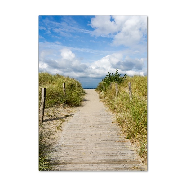 Wall art on glass Path to the beach