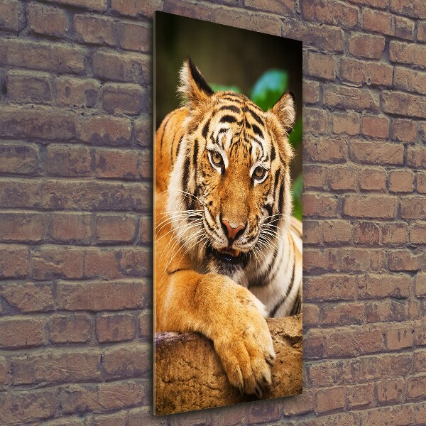 Wall art on glass Bengal tiger