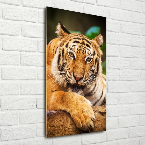 Wall art on glass Bengal tiger