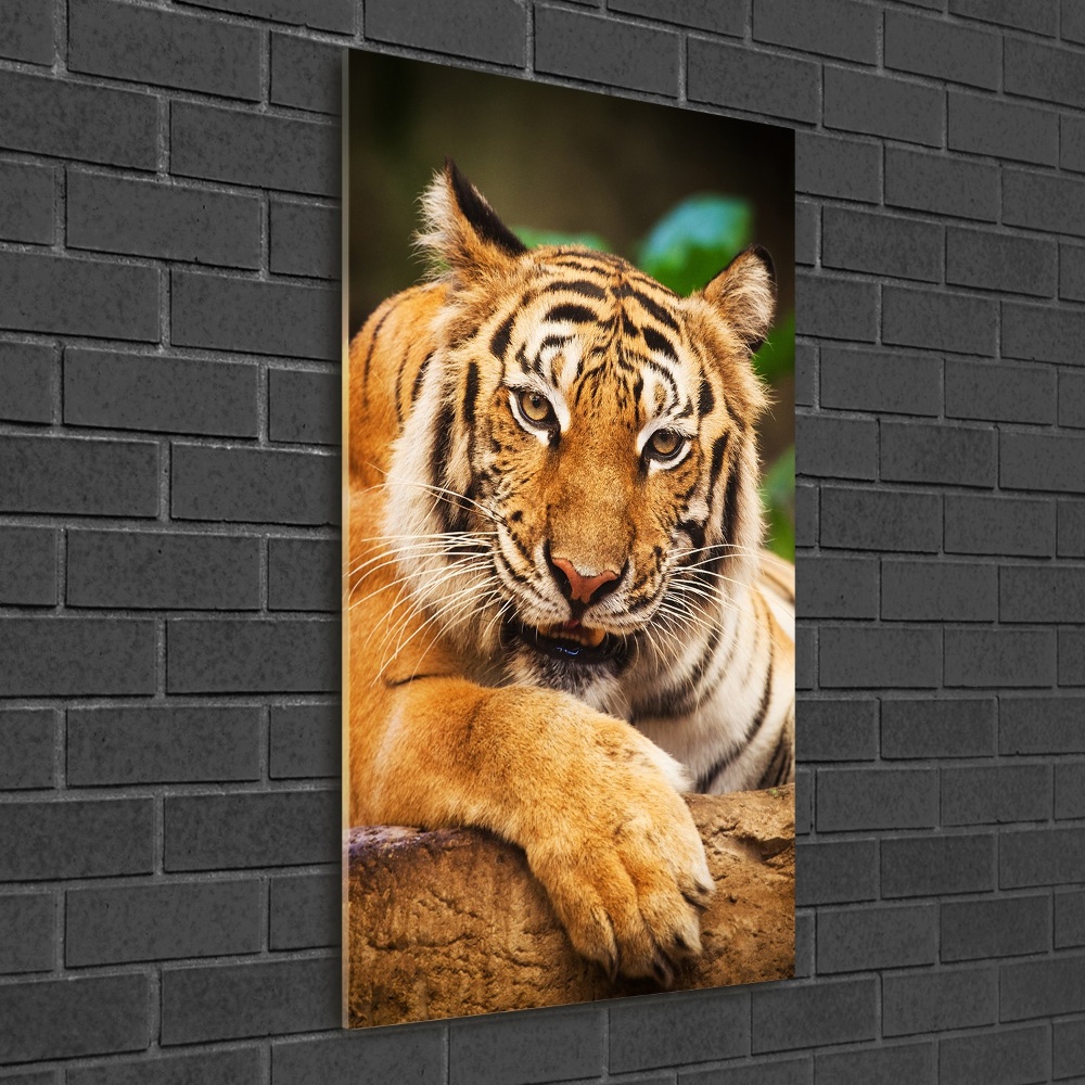 Wall art on glass Bengal tiger