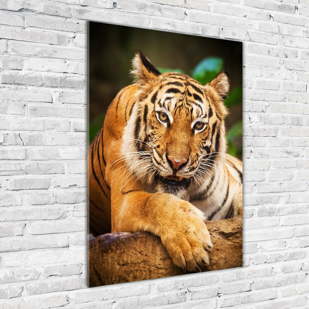 Wall art on glass Bengal tiger