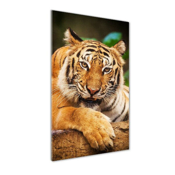 Wall art on glass Bengal tiger