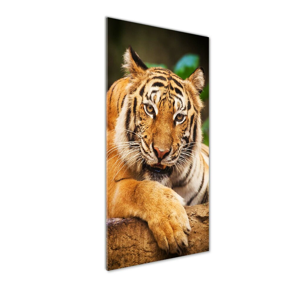 Wall art on glass Bengal tiger