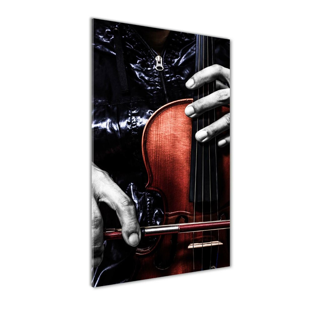 Printed glass wall art Violin