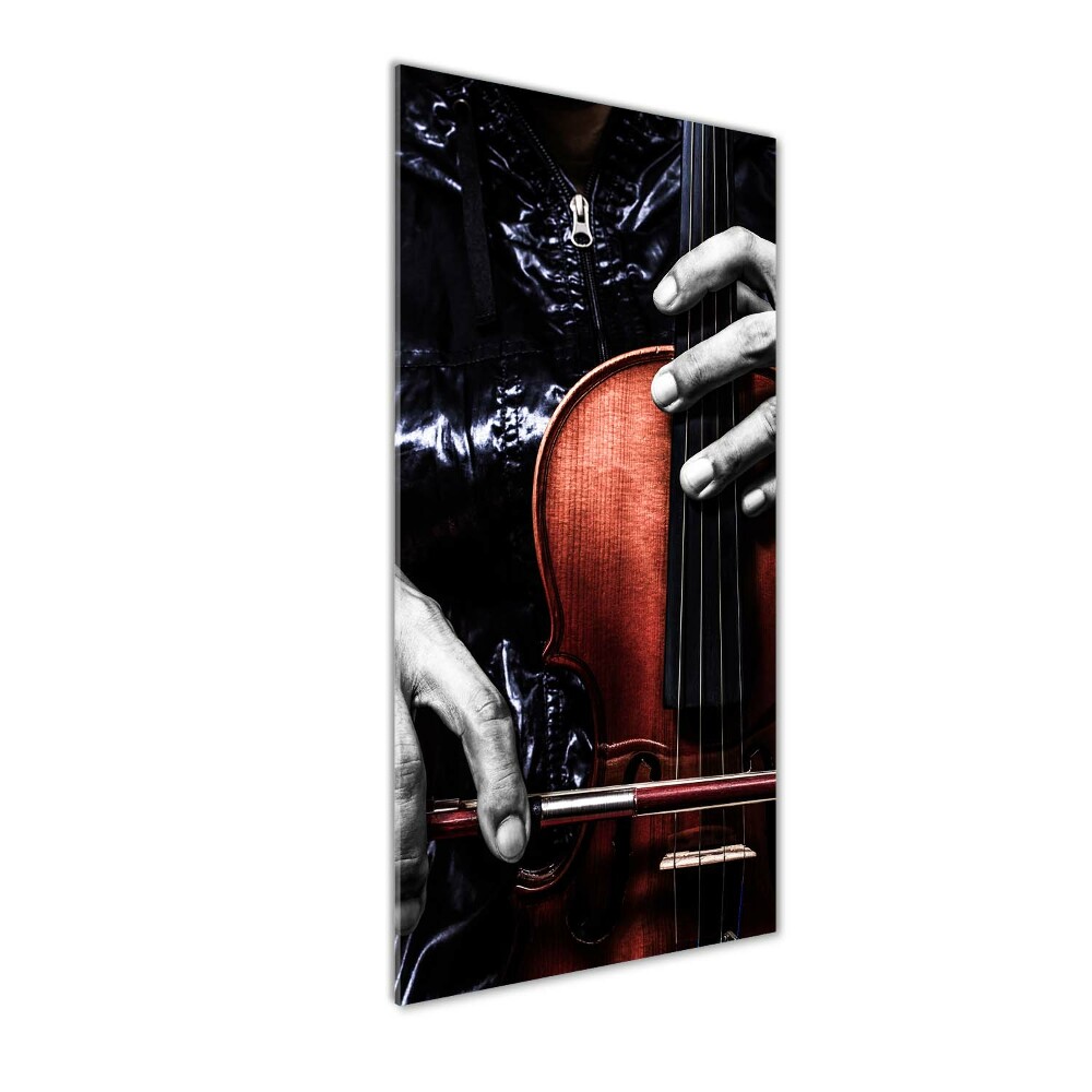 Printed glass wall art Violin