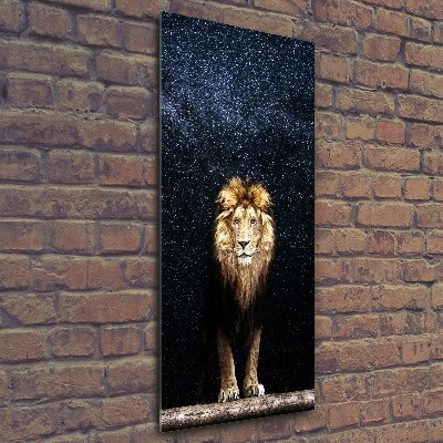 Wall art on glass Lion against the backdrop of the stars