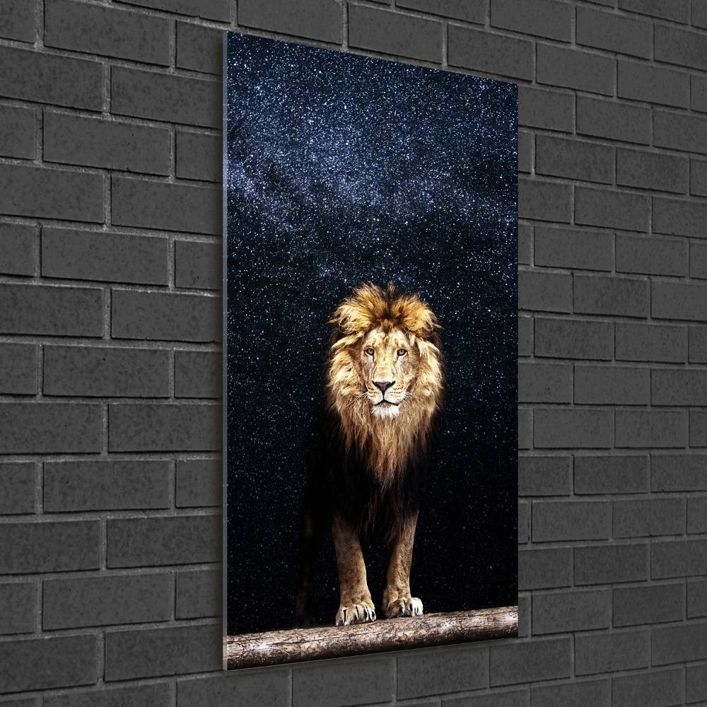 Wall art on glass Lion against the backdrop of the stars