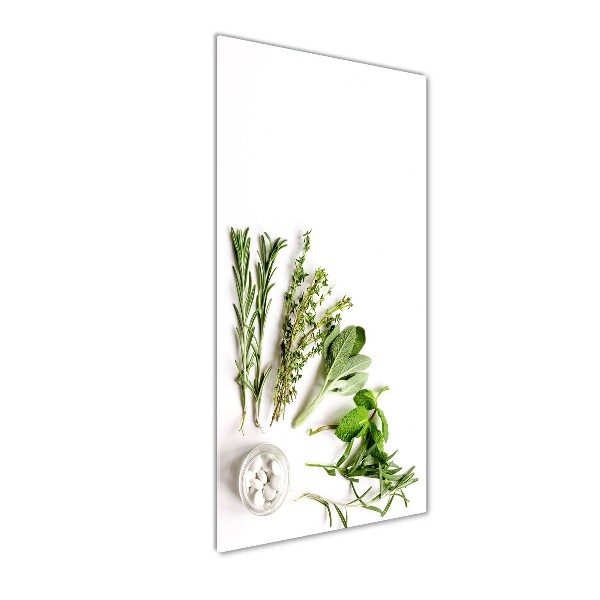 Print on a a glass Herbs