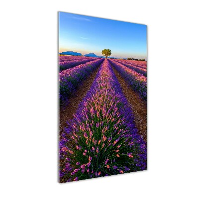 Wall art on glass Lavender field