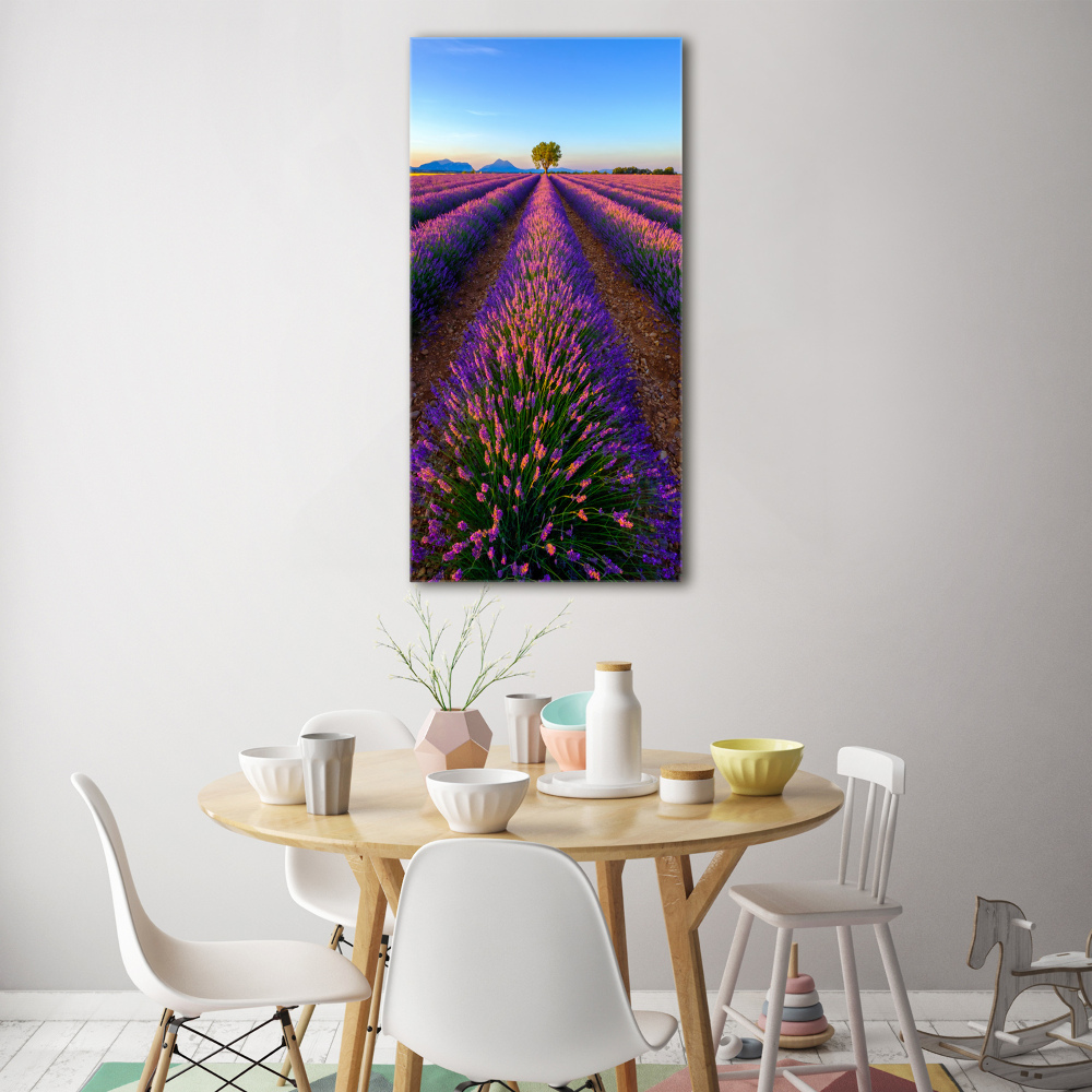 Wall art on glass Lavender field