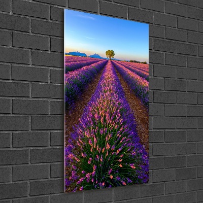 Wall art on glass Lavender field