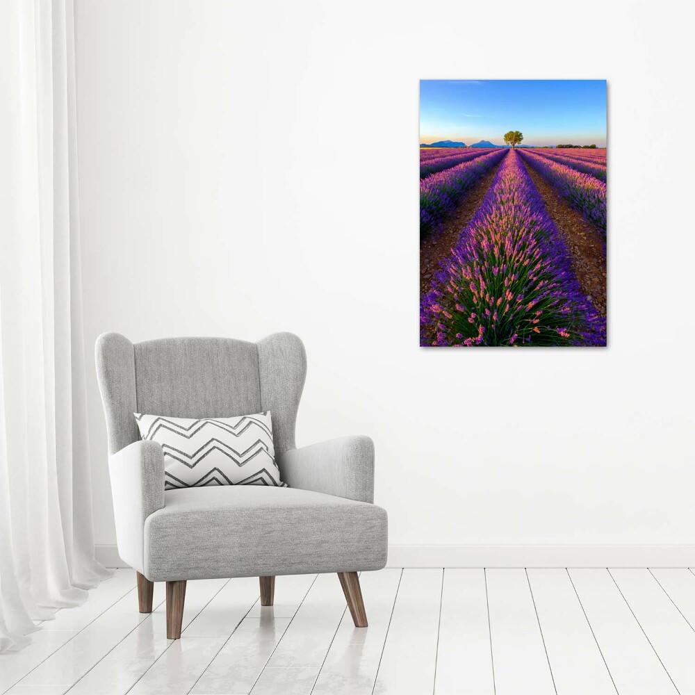 Wall art on glass Lavender field