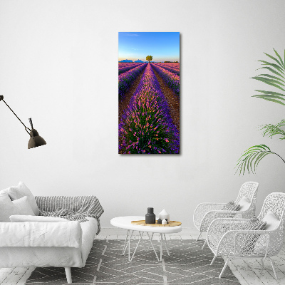 Wall art on glass Lavender field