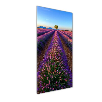 Wall art on glass Lavender field