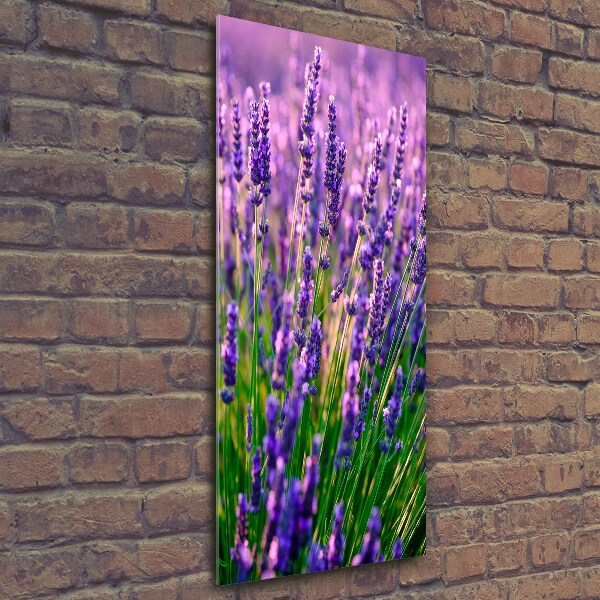 Glass wall art Lavender field