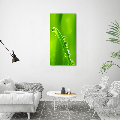 Wall art on glass Blade of grass