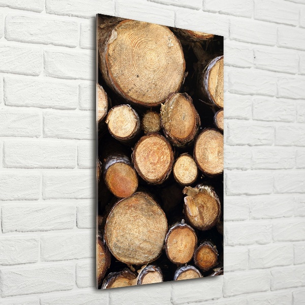 Printed glass wall art Logs