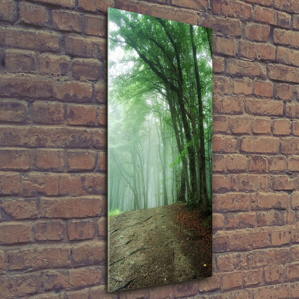 Wall art on glass Fog in the forest