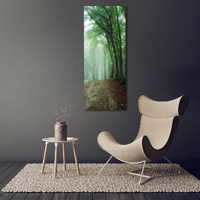 Wall art on glass Fog in the forest