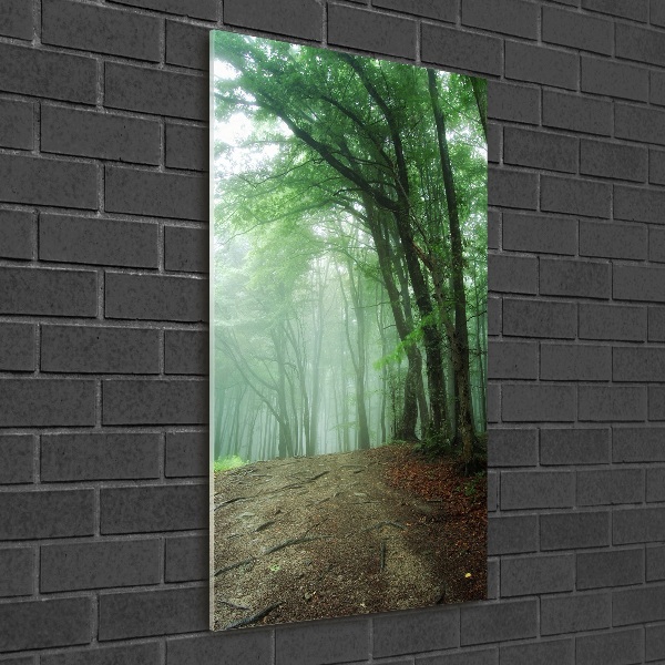 Wall art on glass Fog in the forest