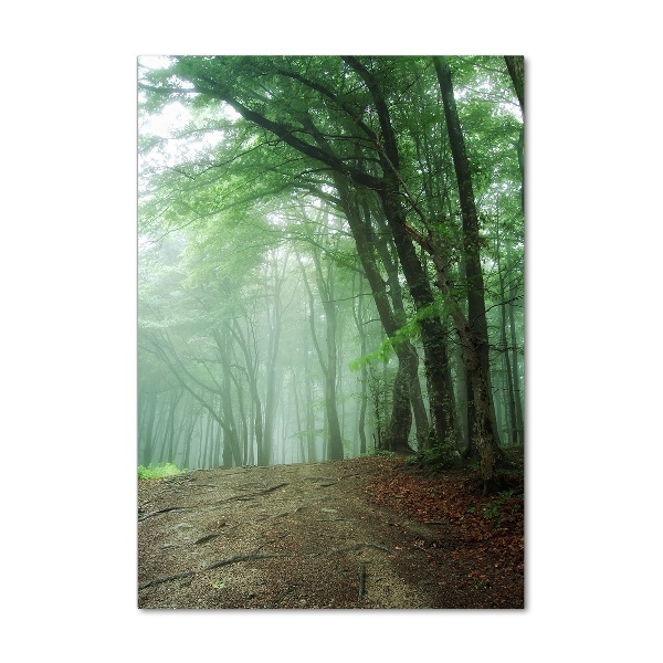 Wall art on glass Fog in the forest