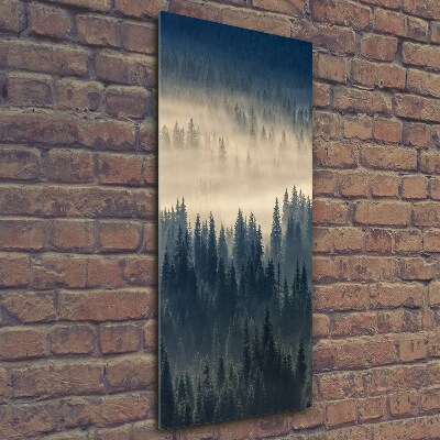 Wall art on glass Fog over the forest