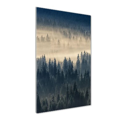 Wall art on glass Fog over the forest