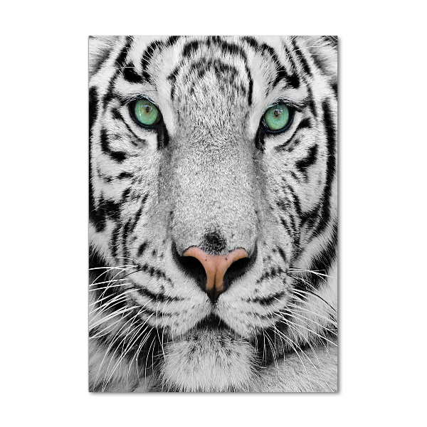 Glass wall art White Tiger